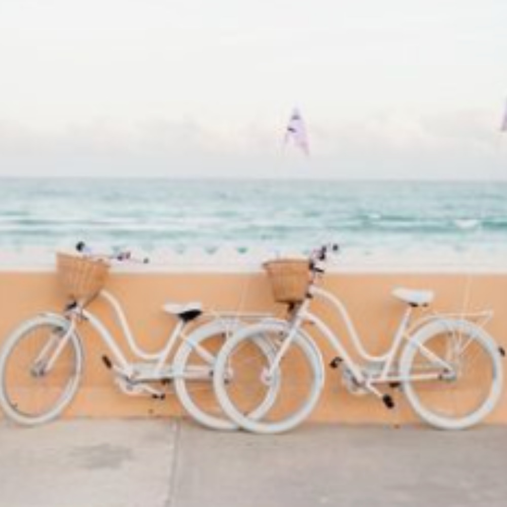 Meet your Posher, Ella